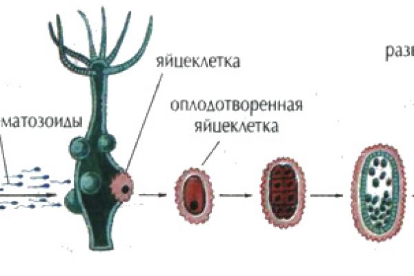 Кракен онион