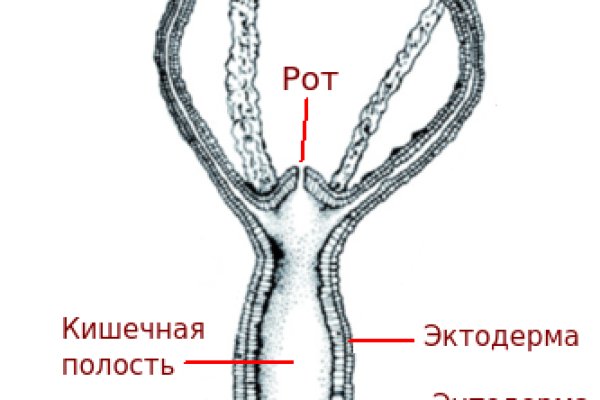 Кракен рабочая ссылка на официальный магазин