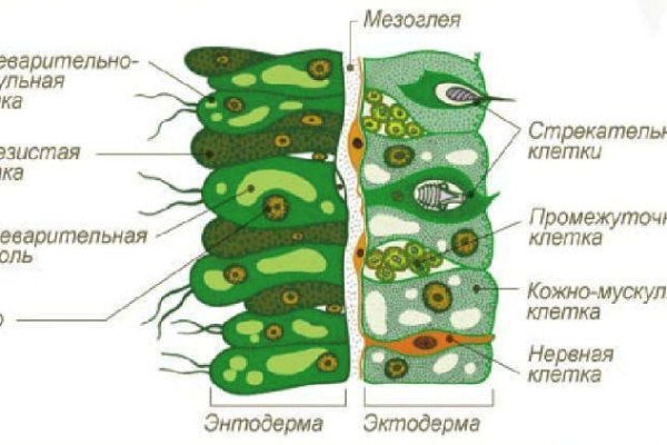 Адрес кракен в тор