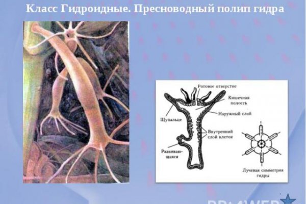 Через какой браузер заходить на кракен